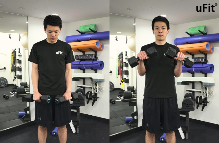 見なきゃ損!リバースカールで効率よくたくましい腕を鍛える方法とは 見なきゃ損!リバースカールで効率よくたくましい腕を鍛える方法とは