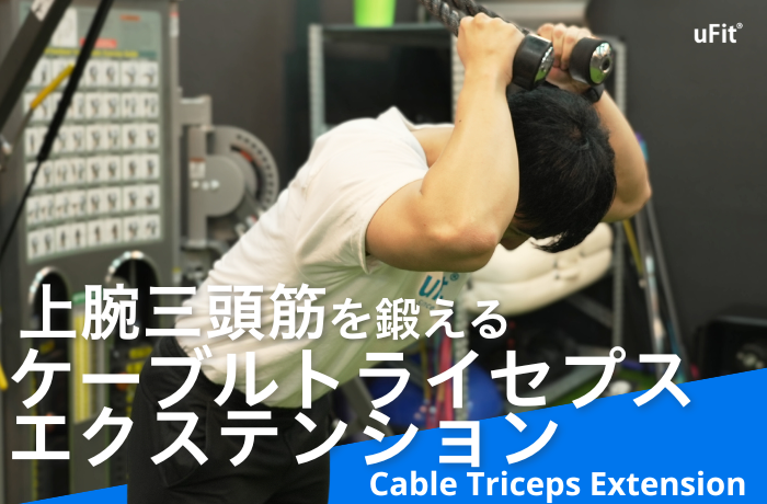 ケーブルトライセプスエクステンションの正しいやり方と効果的な重量