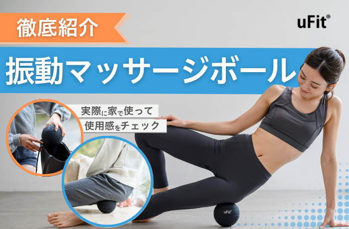 ほぼ新品 オアシス スタイリーボール青 下半身筋トレ充電式振動