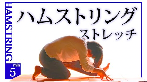 カチカチに固い「ハムストリング」を柔らかくするストレッチを紹介｜効果やメリットも解説