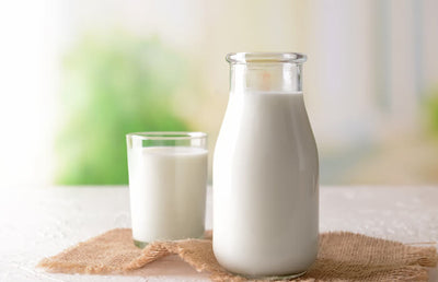 牛乳は筋トレに効果的？プロテインは牛乳と水どっちがいいの？管理栄養士が解説