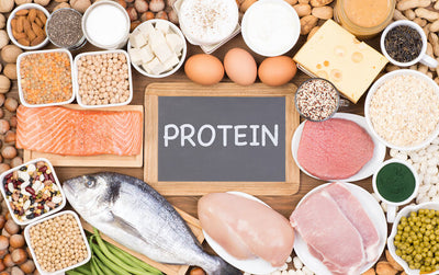 筋トレ中に必要なタンパク質の量は？タンパク質の摂取におすすめの食事を管理栄養士が紹介