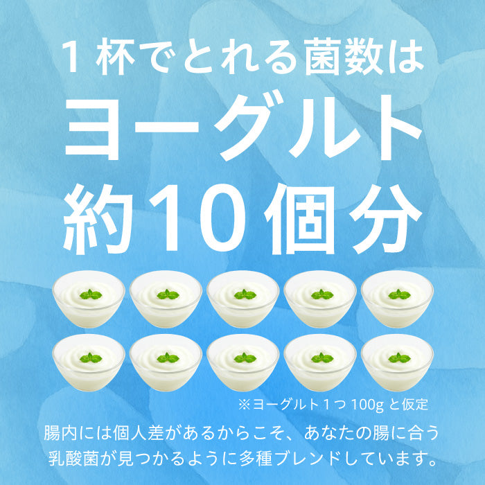 完全栄養WHEY PROTEIN 1kg