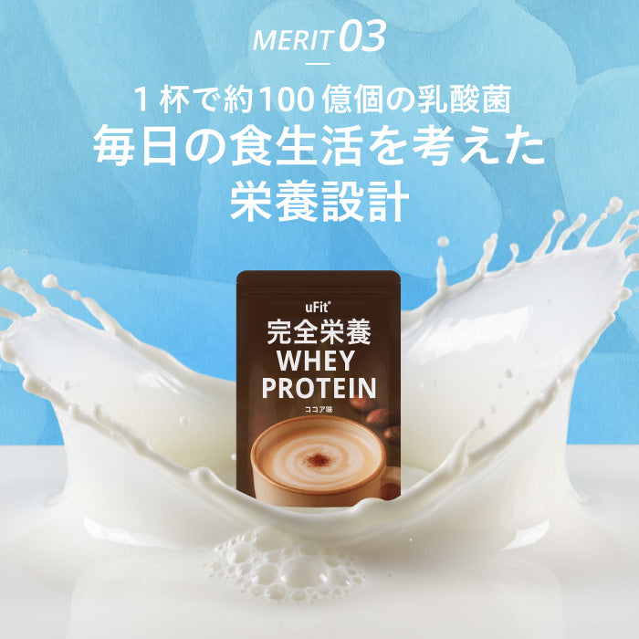 完全栄養WHEY PROTEIN 1kg