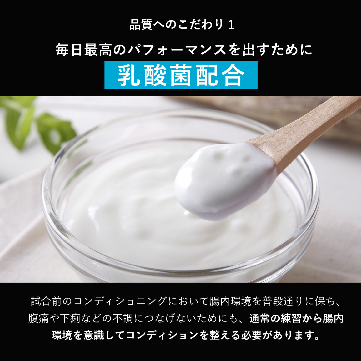 Whey Protein お試し5フレーバーセット